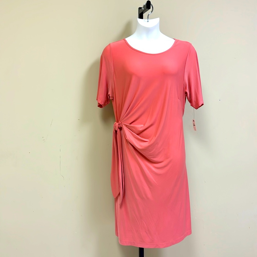 Plus size Talbots dress